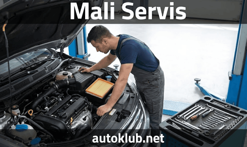 Mali Servis