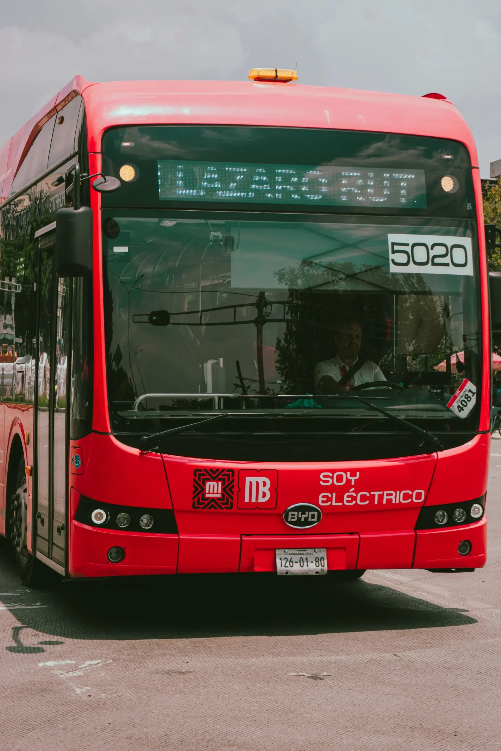 BYD Bus